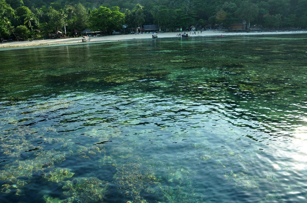 Rantee View Bungalow Phi Phi Islands Esterno foto
