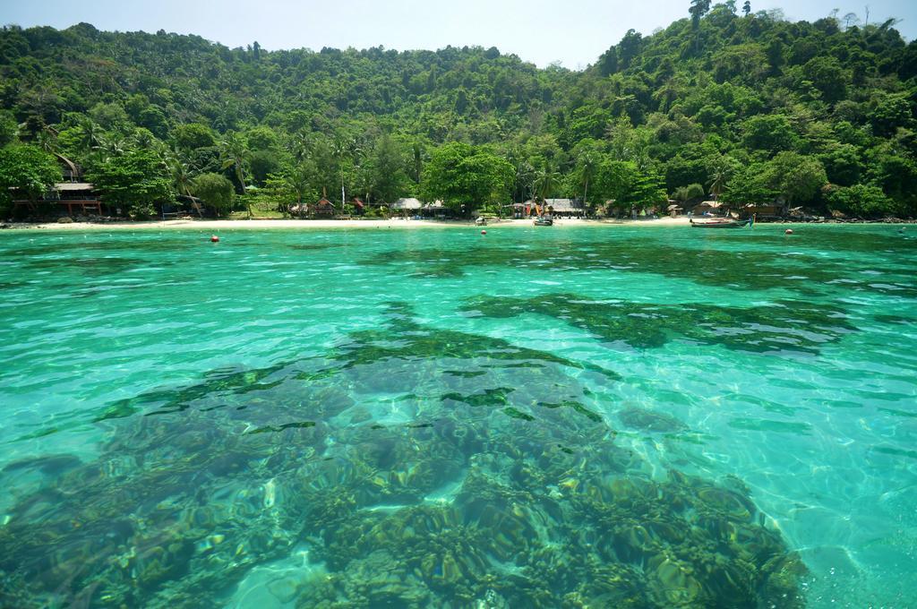 Rantee View Bungalow Phi Phi Islands Esterno foto